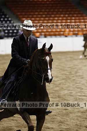 Proof Number 10buck_1791