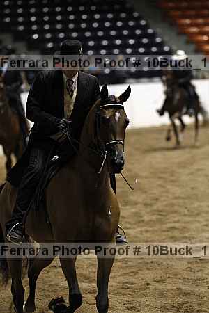 Proof Number 10buck_1799