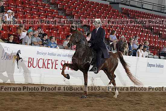 Proof Number 10buck_1803