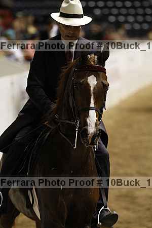 Proof Number 10buck_1815