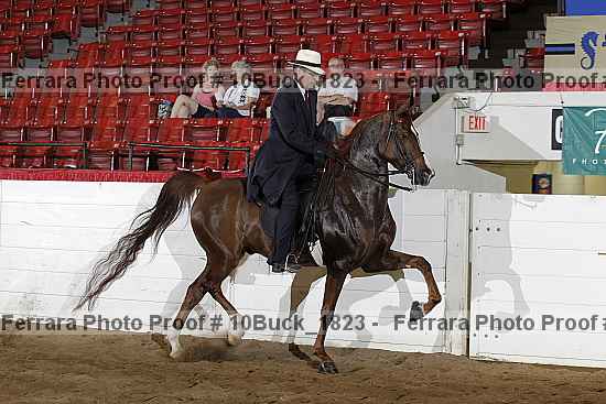 Proof Number 10buck_1823