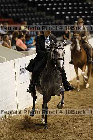 Proof Number 10buck_1891