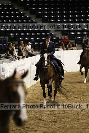 Proof Number 10buck_1895