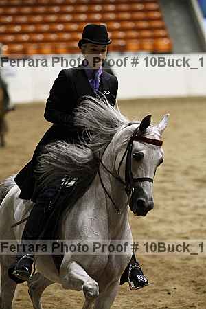 Proof Number 10buck_1900