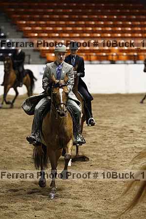 Proof Number 10buck_1902
