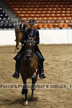 Proof Number 10buck_1903