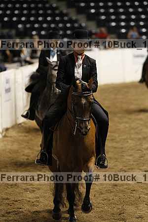 Proof Number 10buck_1908