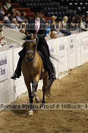 Proof Number 10buck_1910