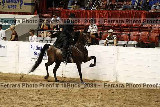 Proof Number 10buck_2089