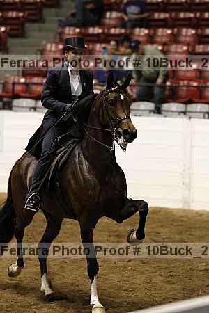 Proof Number 10buck_2105