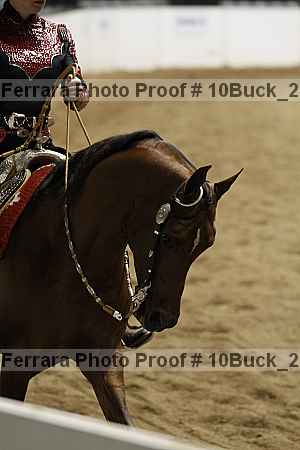 Proof Number 10buck_2234