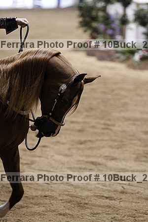 Proof Number 10buck_2249