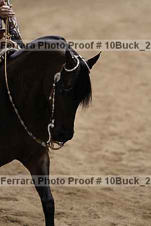 Proof Number 10buck_2261