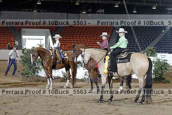 Proof Number 10buck_5563