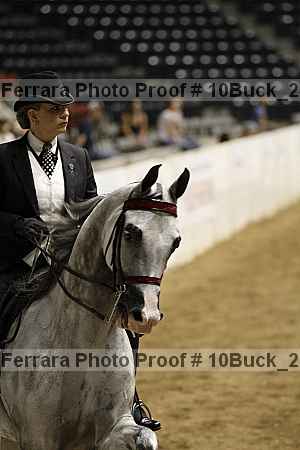 Proof Number 10buck_2295