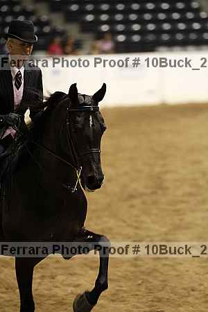 Proof Number 10buck_2300