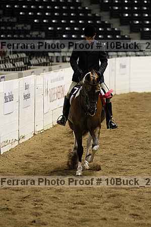 Proof Number 10buck_2345