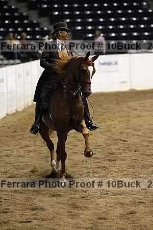 Proof Number 10buck_2409