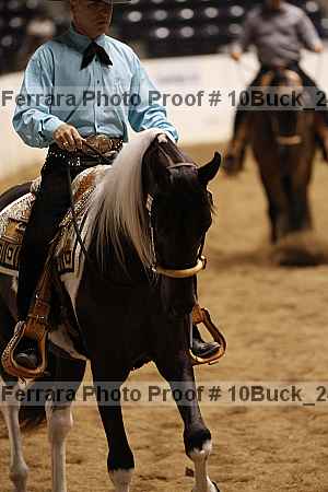 Proof Number 10buck_2417