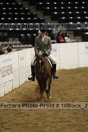 Proof Number 10buck_2509