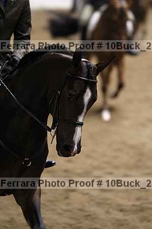 Proof Number 10buck_2530