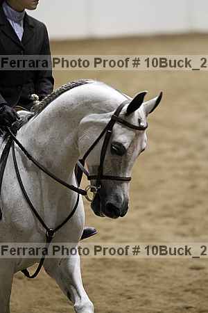 Proof Number 10buck_2535