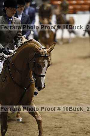 Proof Number 10buck_2539