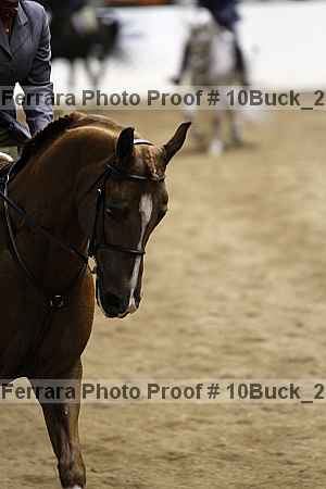 Proof Number 10buck_2543