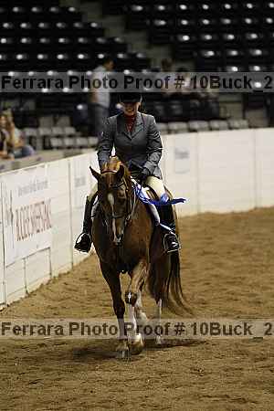 Proof Number 10buck_2545