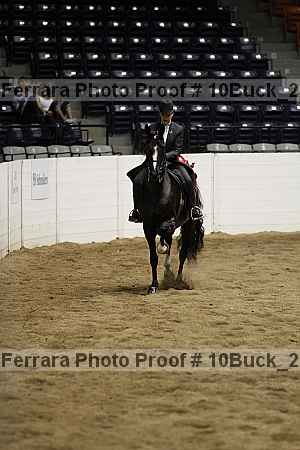 Proof Number 10buck_2682