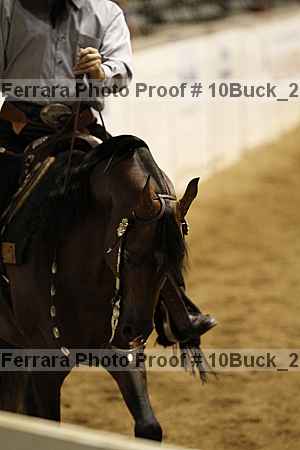 Proof Number 10buck_2694
