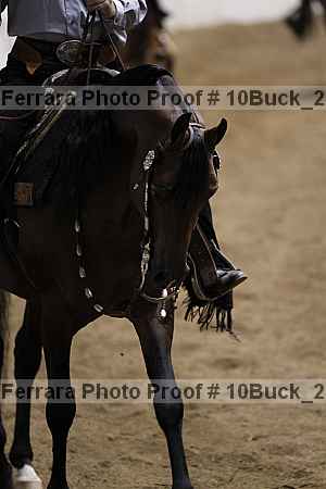 Proof Number 10buck_2719