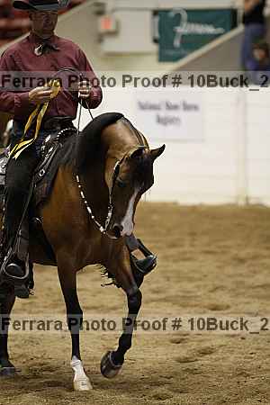 Proof Number 10buck_2723