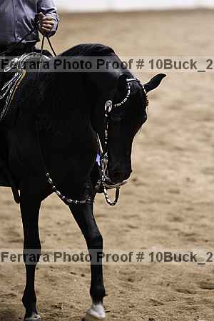 Proof Number 10buck_2729