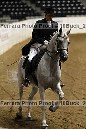 Proof Number 10buck_2836