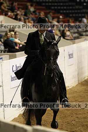 Proof Number 10buck_2895