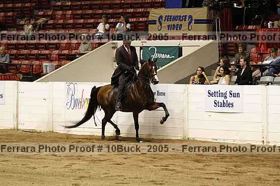 Proof Number 10buck_2905