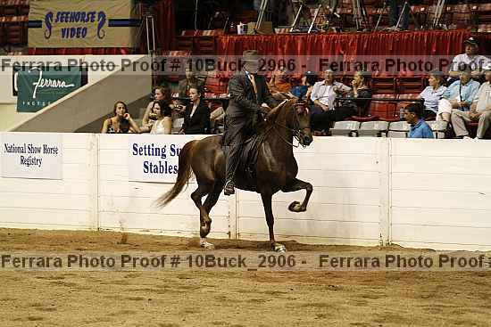 Proof Number 10buck_2906