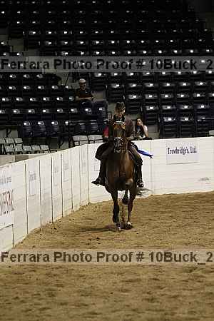 Proof Number 10buck_2931