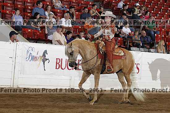 Proof Number 10buck_2963