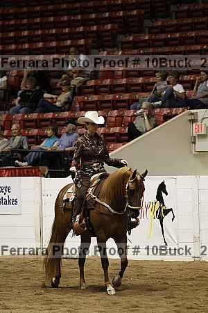 Proof Number 10buck_2985