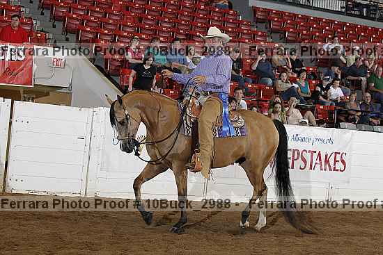 Proof Number 10buck_2988