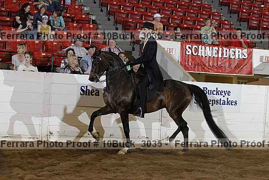 Proof Number 10buck_3035