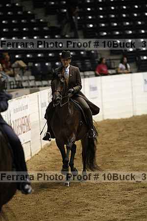 Proof Number 10buck_3037