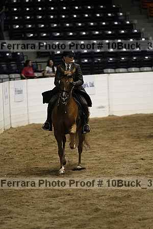 Proof Number 10buck_3038