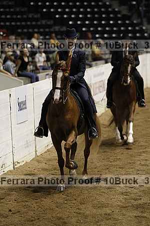 Proof Number 10buck_3041