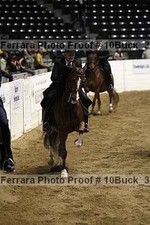 Proof Number 10buck_3043