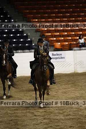 Proof Number 10buck_3048