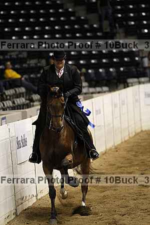 Proof Number 10buck_3054