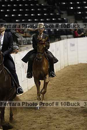 Proof Number 10buck_3095